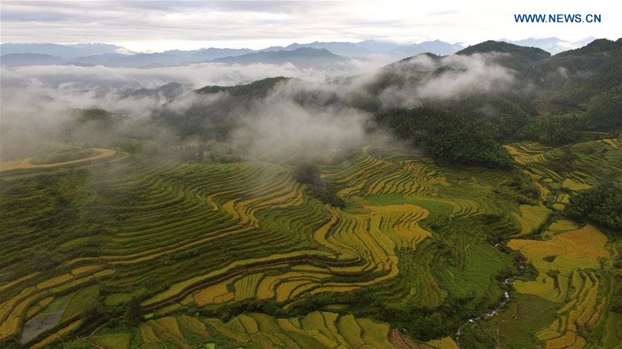 CHINA-FUJIAN-WUYISHAN-TERRACES (CN)