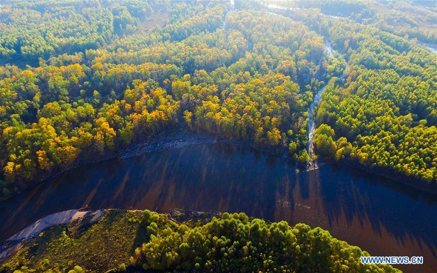CHINA-INNER MONGOLIA-AUTUMN SCENERY (CN)