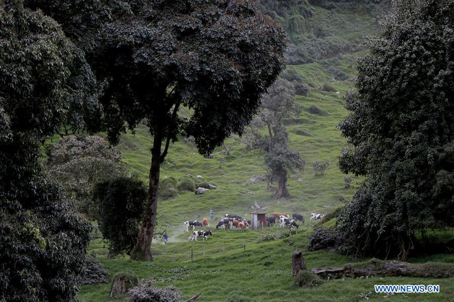 COSTA RICA-CARTAGO-VOLCANO ERUPTION-ASHES
