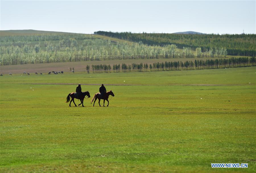 CHINA-HULUN BUIR-AUTUMN-SCENERY (CN) 