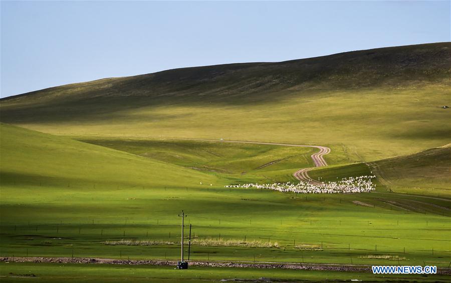 CHINA-HULUN BUIR-AUTUMN-SCENERY (CN)