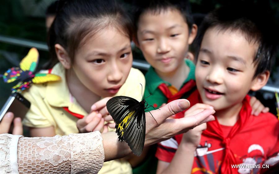 CHINA-SHANGHAI-BUTTERFLY EXHIBITION (CN) 