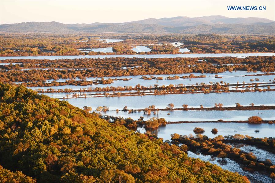 CHINA-HEILONGJIANG-ZHENBAO ISLAND-SCENERY (CN)