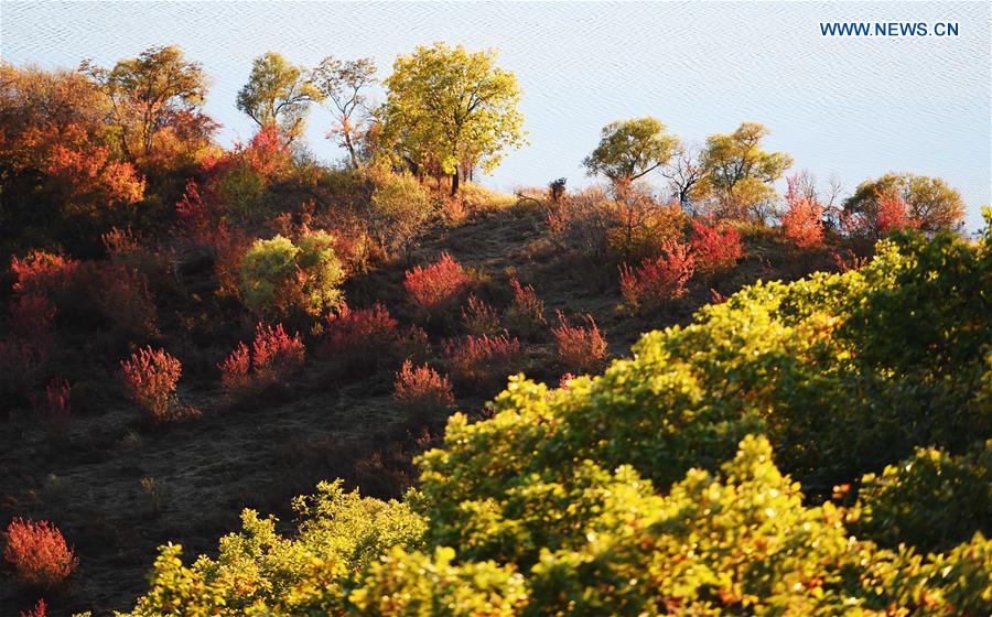 CHINA-HEILONGJIANG-ZHENBAO ISLAND-SCENERY (CN)