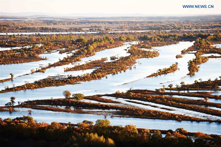 CHINA-HEILONGJIANG-ZHENBAO ISLAND-SCENERY (CN)
