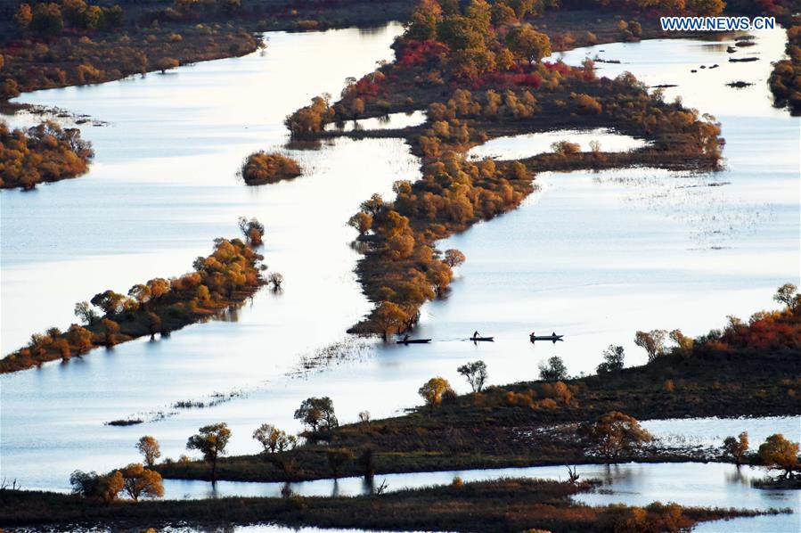 CHINA-HEILONGJIANG-ZHENBAO ISLAND-SCENERY (CN)