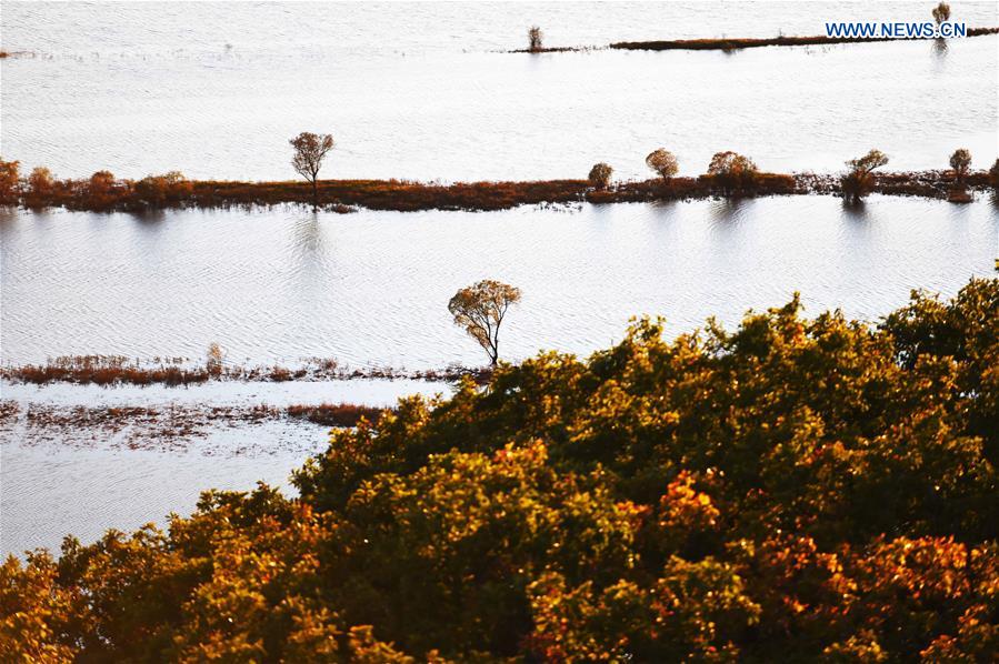 CHINA-HEILONGJIANG-ZHENBAO ISLAND-SCENERY (CN)