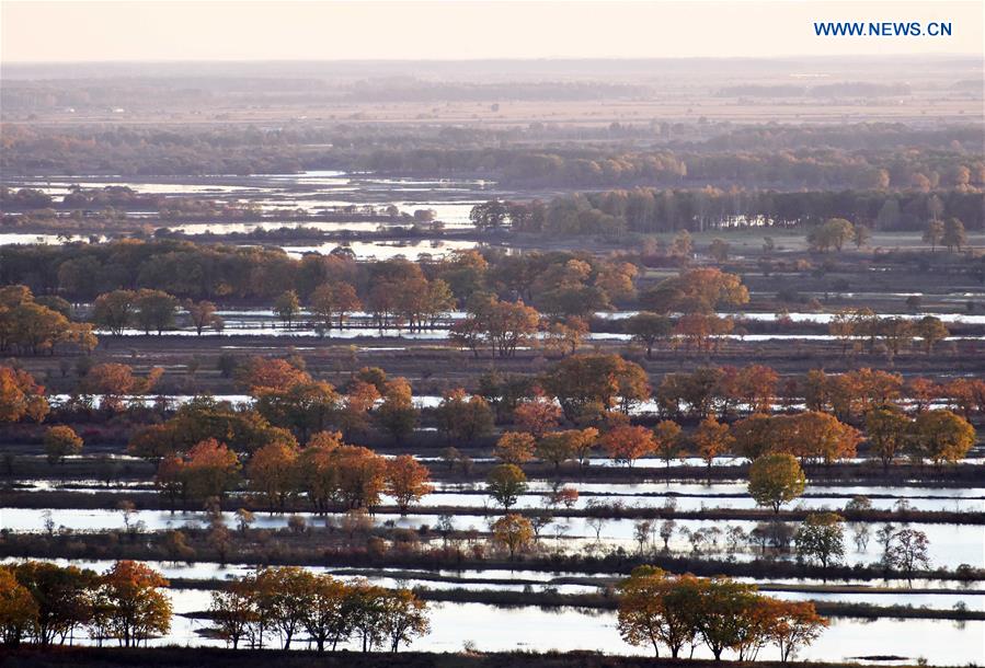 CHINA-HEILONGJIANG-ZHENBAO ISLAND-SCENERY (CN)