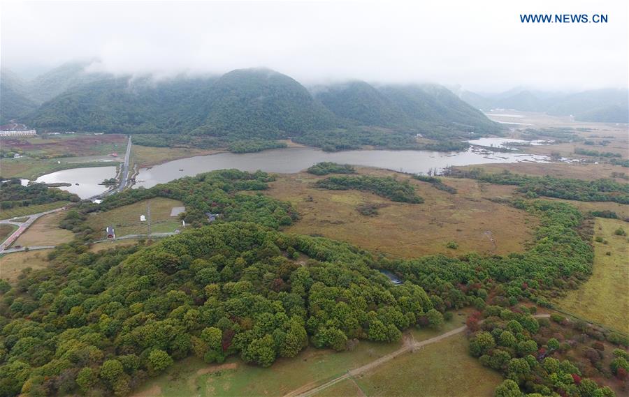 CHINA-HUBEI-SHENNONGJIA-WETLAND PARK(CN)
