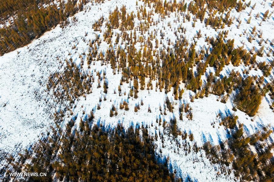 CHINA-INNER MONGOLIA-ARXAN-SCENERY (CN)