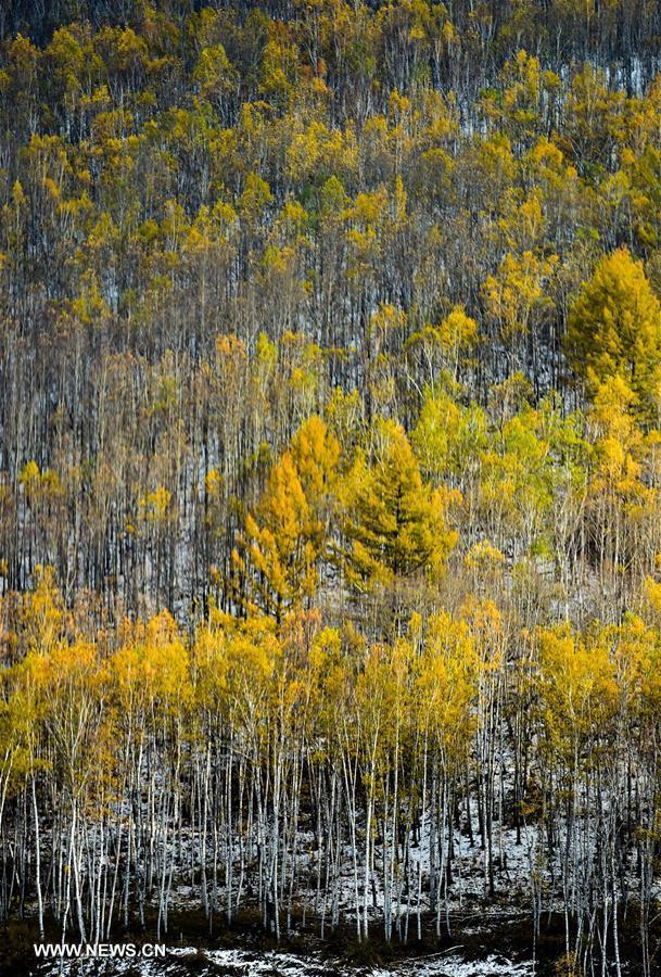 CHINA-INNER MONGOLIA-ARXAN-SCENERY (CN) 