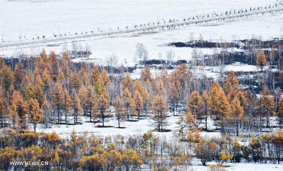 CHINA-INNER MONGOLIA-ARXAN-SCENERY (CN) 
