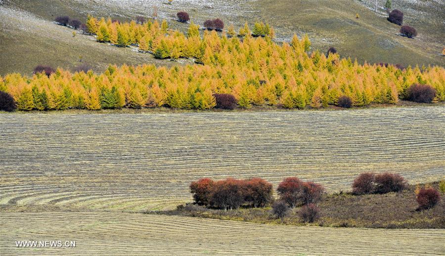 CHINA-INNER MONGOLIA-ARXAN-SCENERY (CN) 