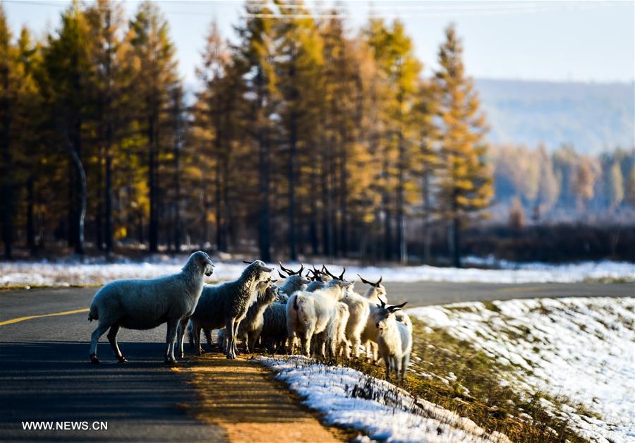 CHINA-INNER MONGOLIA-ARXAN-SCENERY (CN) 