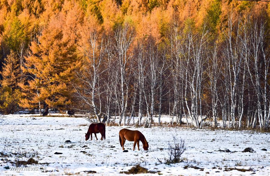 CHINA-INNER MONGOLIA-ARXAN-SCENERY (CN) 