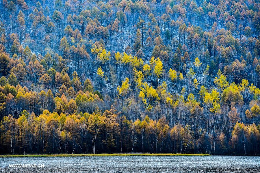 CHINA-INNER MONGOLIA-ARXAN-SCENERY (CN) 