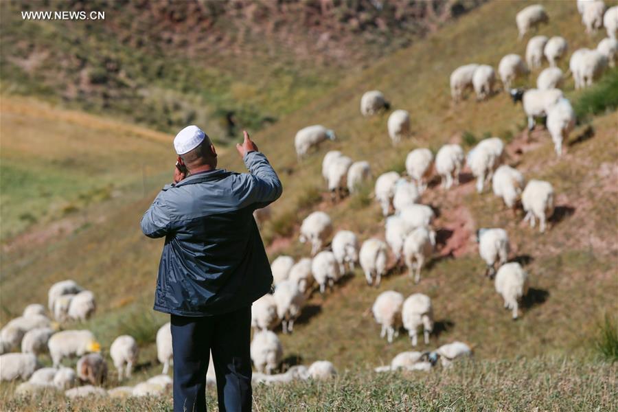 CHINA-QINGHAI-POVERTY ALLEVIATION (CN)