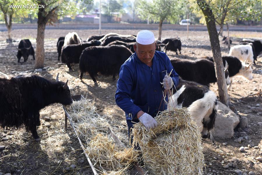CHINA-QINGHAI-POVERTY ALLEVIATION (CN)