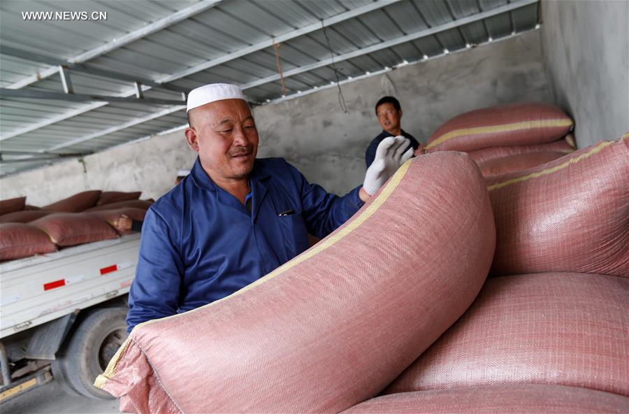 CHINA-QINGHAI-POVERTY ALLEVIATION (CN)