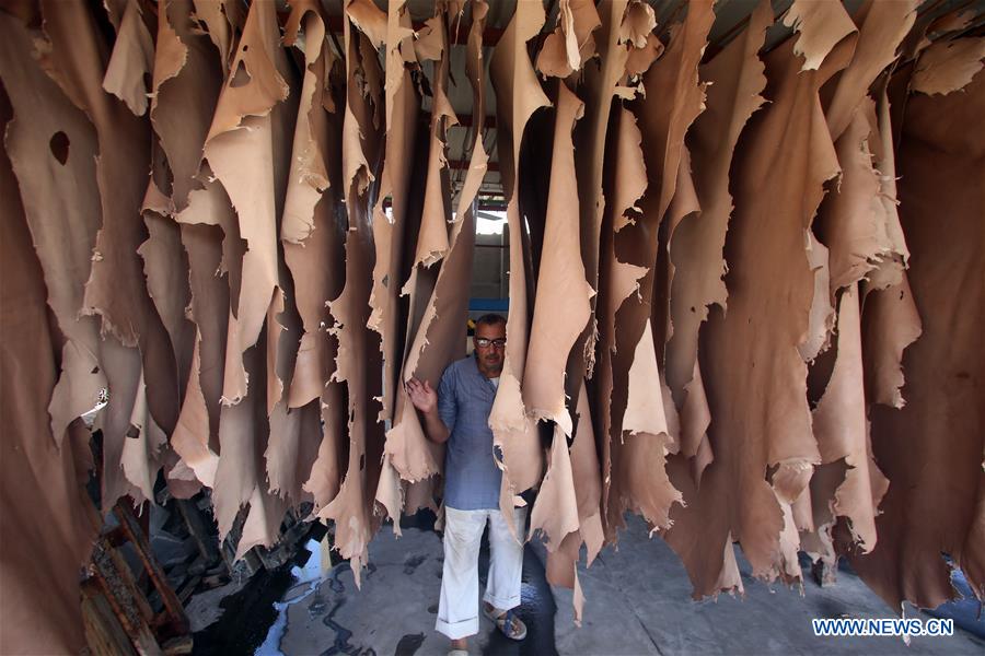 EGYPT-CAIRO-TANNERY