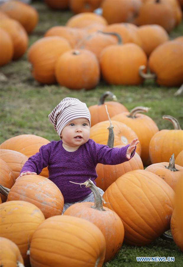 CANADA-VANCOUVER-PUMPKINFEST