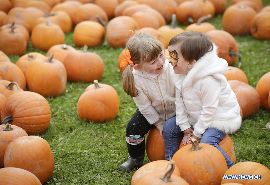 CANADA-VANCOUVER-PUMPKINFEST