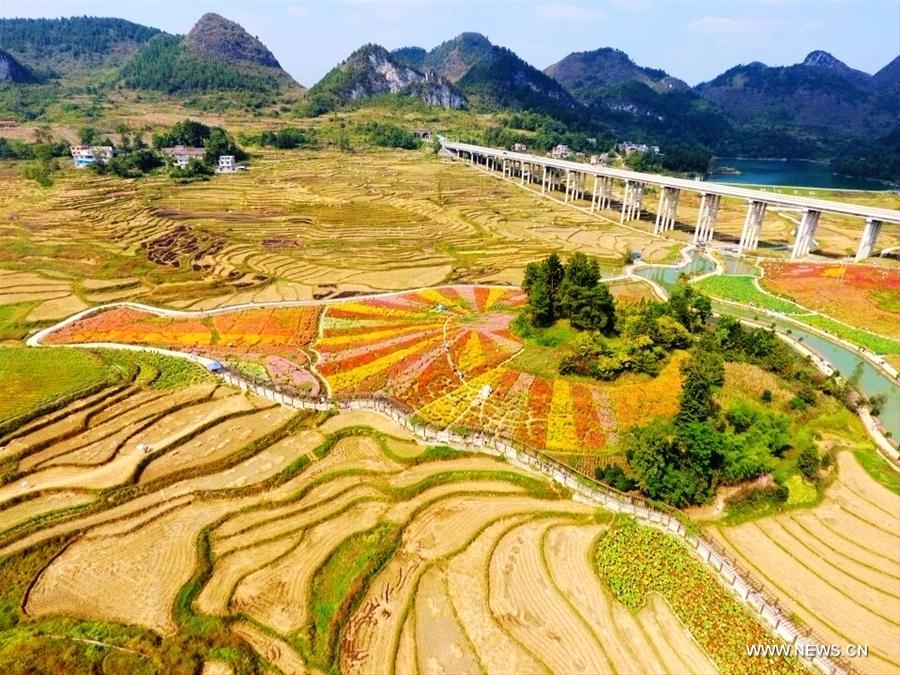 #CHINA-GUANGXI-AUTUMN-SCENERY (CN)