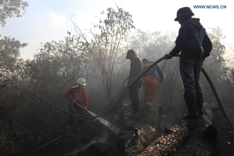 INDONESIA-ACEH-FOREST FIRE
