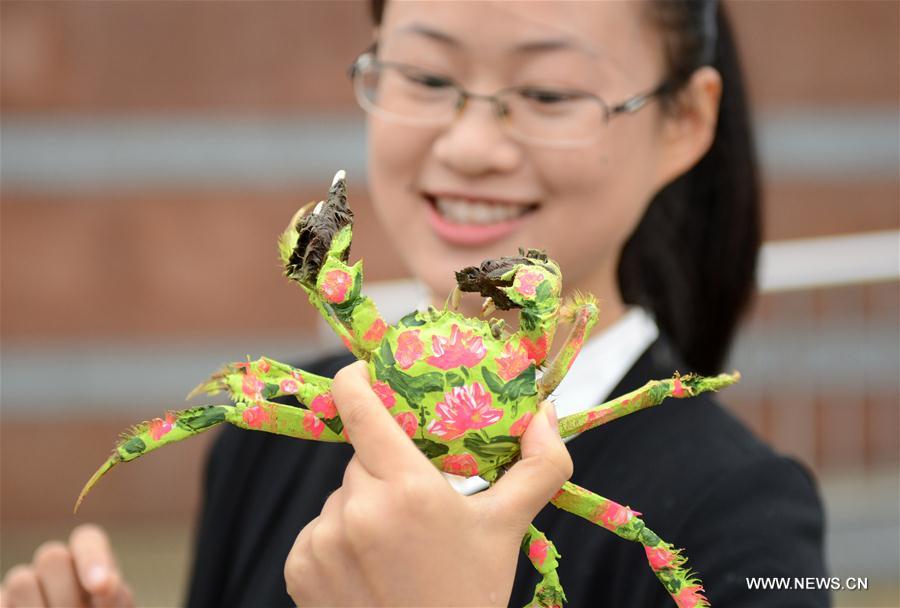 A mitten crab of Hongze Lake harvest festival was held here on Tuesday. 