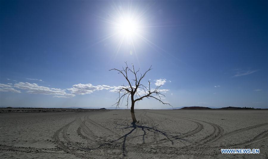 WEEKLY CHOICES OF XINHUA PHOTO