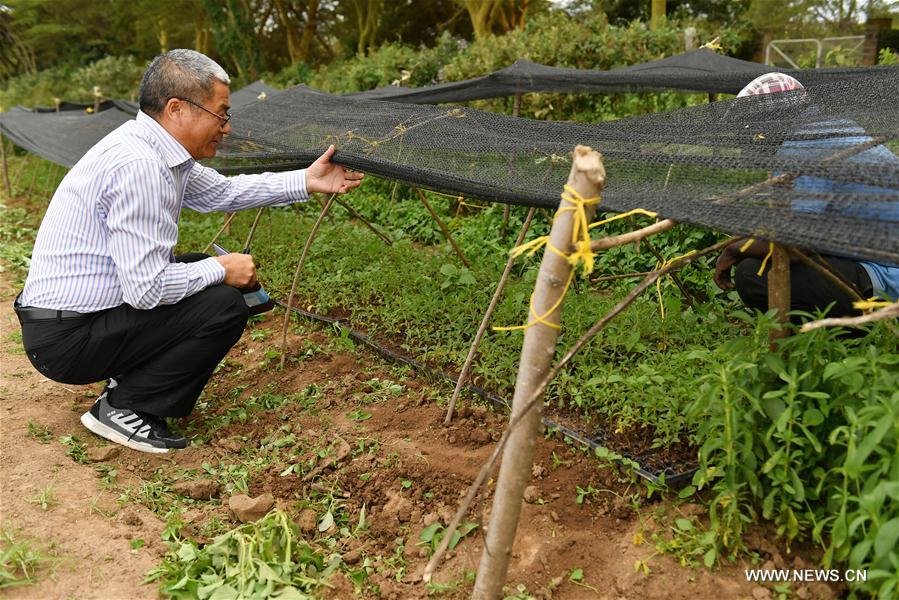 As the Sino-African relations are getting stronger in recent years, more and more Chinese people and companies invest in African countries with their fund, knowledge and skills to help Africa fight against poverty.