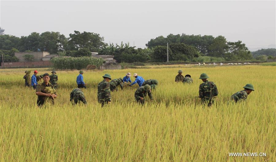 VIETNAM-QUANG NINH-TYPHOON SARIKA-PREPARATION  