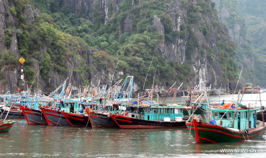 VIETNAM-QUANG NINH-TYPHOON SARIKA-PREPARATION  