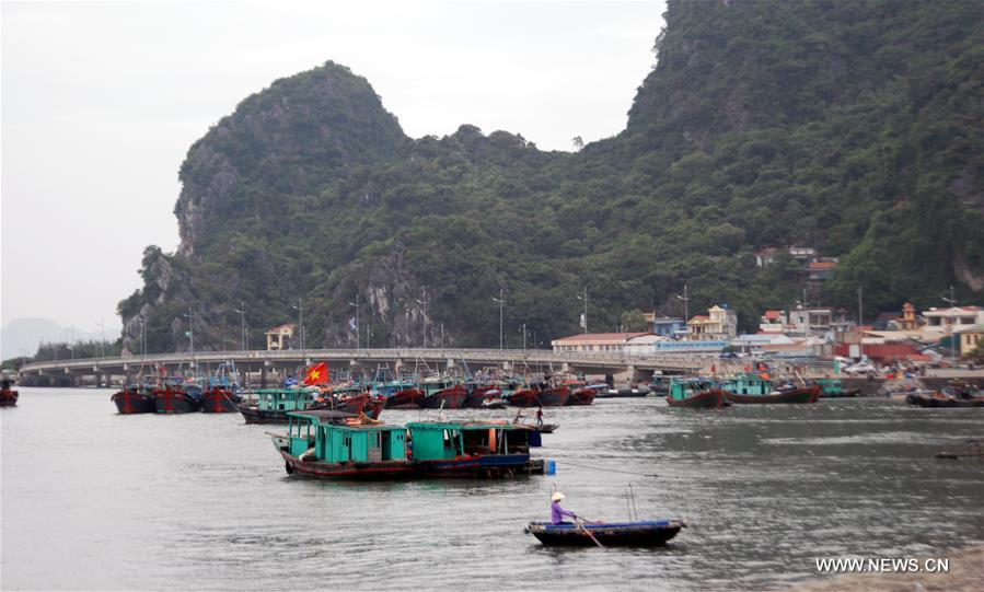 VIETNAM-QUANG NINH-TYPHOON SARIKA-PREPARATION  