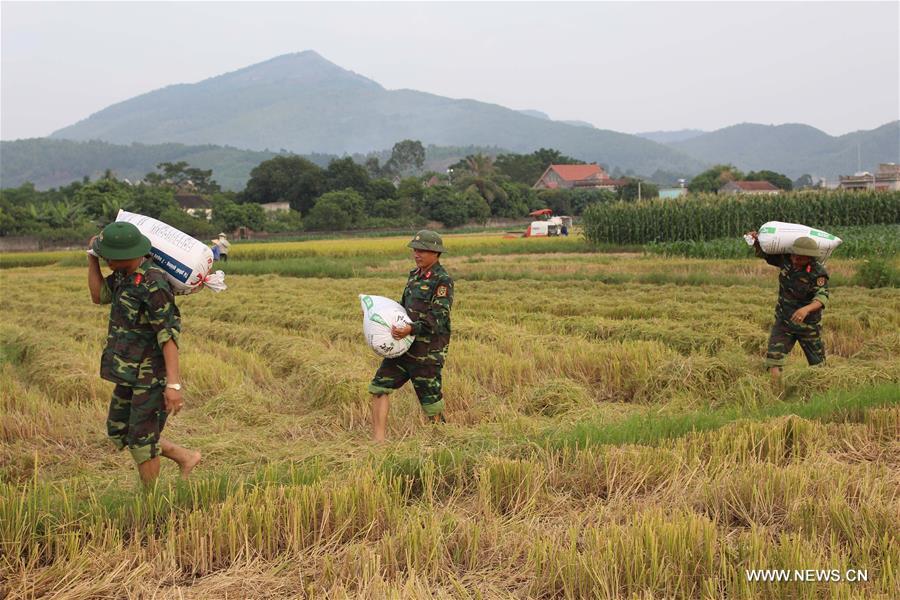 VIETNAM-QUANG NINH-TYPHOON SARIKA-PREPARATION  