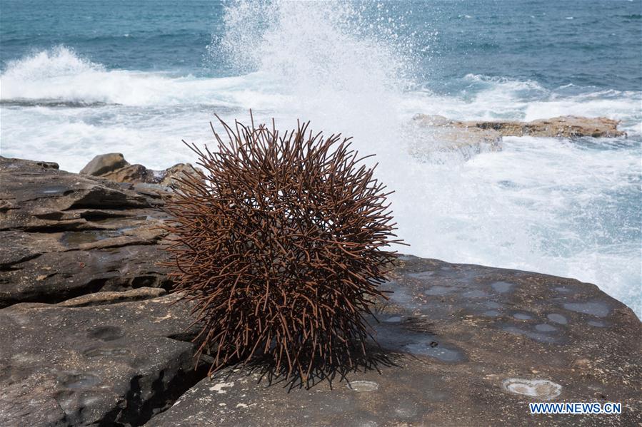 AUSTRALIA-SYDNEY-ART-SCULPTURE