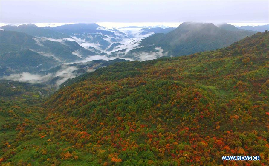 CHINA-SICHUAN-NANJIANG-AUTUMN SCENERY (CN)