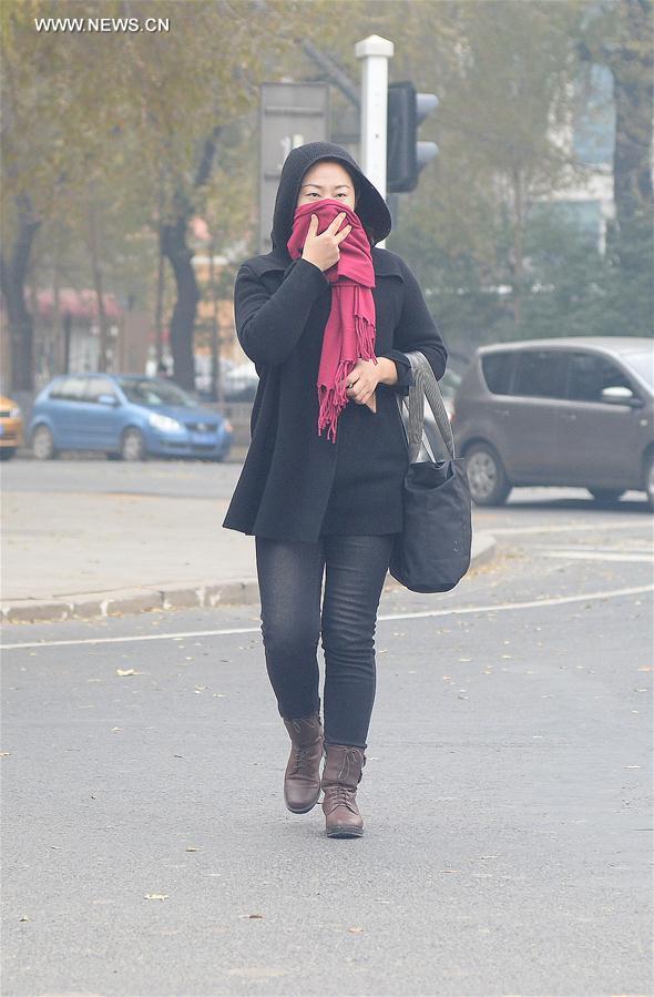 CHINA-HARBIN-WEATHER-SMOG (CN)