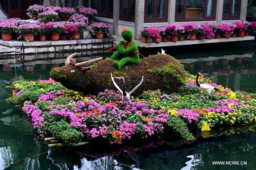 CHINA-JINAN-CHRYSANTHEMUM (CN) 