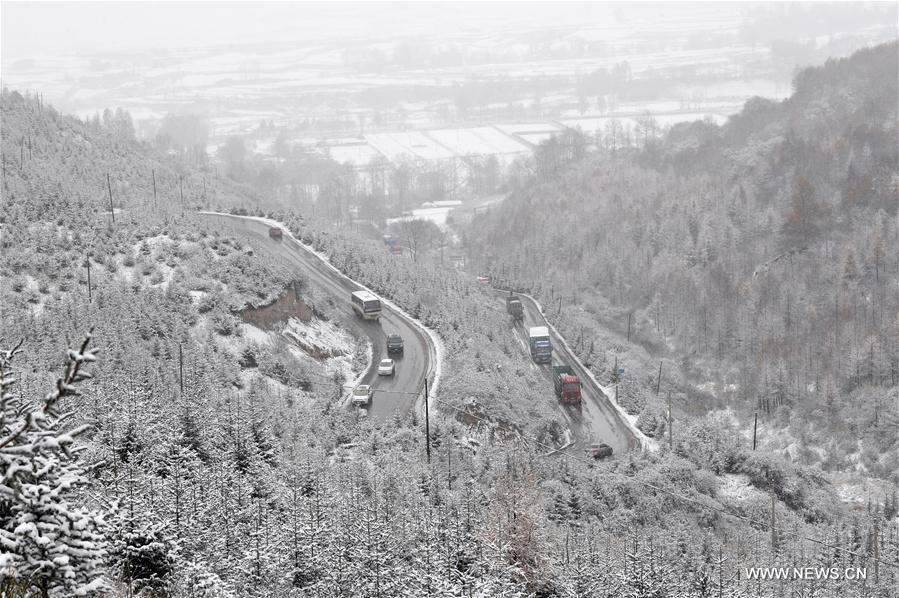 CHINA-GANSU-WEIYUAN-SNOWFALL (CN)