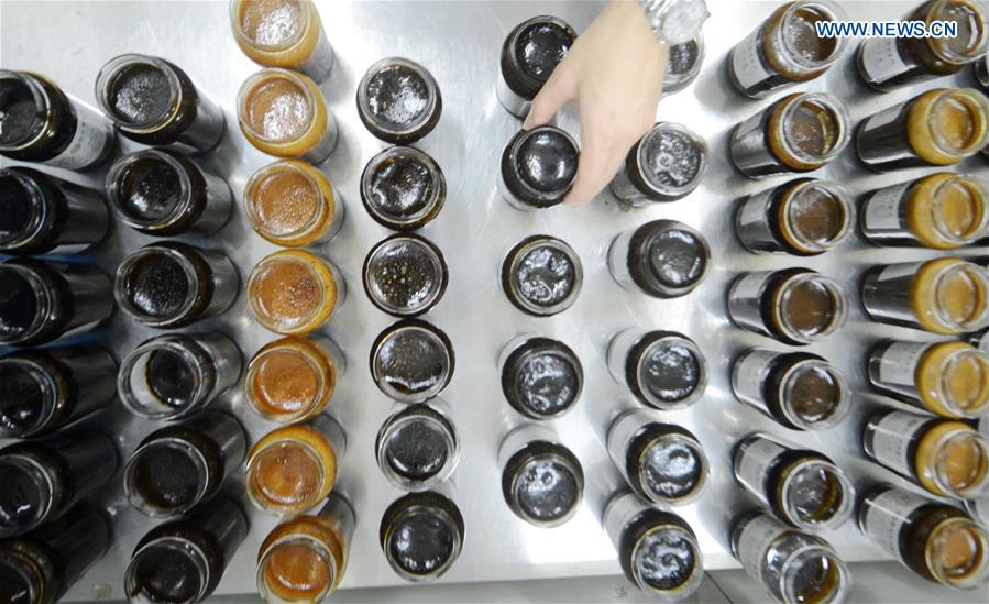 #CHINA-JIANGSU-TCM-TONIC (CN)