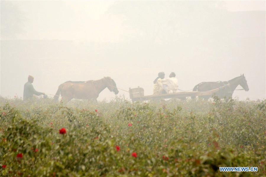 PAKISTAN-LAHORE-WEATHER-FOG