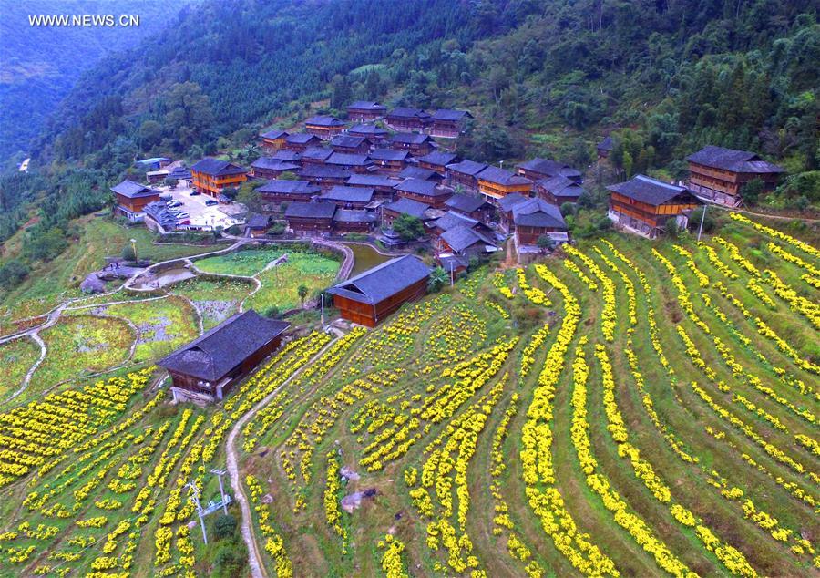 #CHINA-GUANGXI-FLOWERS-FIELDS (CN)