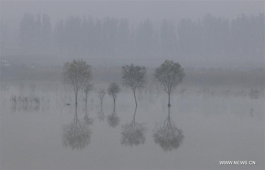 #CHINA-WEATHER-FOG (CN)