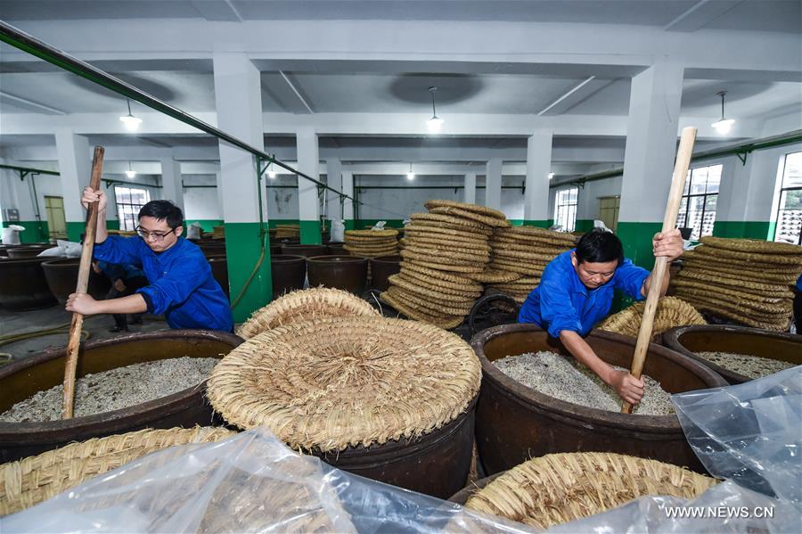 CHINA-ZHEJIANG-SHAOXING-RICE WINE-BREWING (CN)