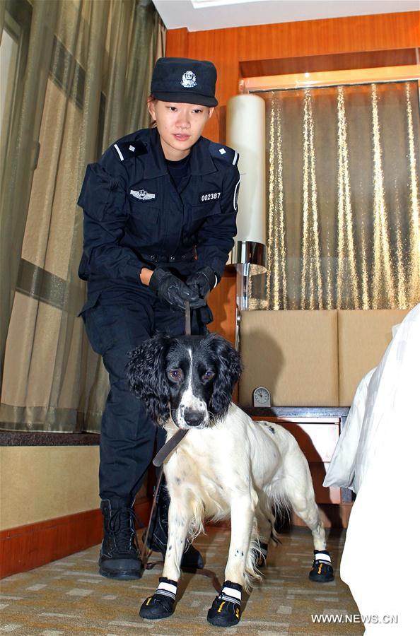 #CHINA-BEIJING-POLICE DOG (CN*)