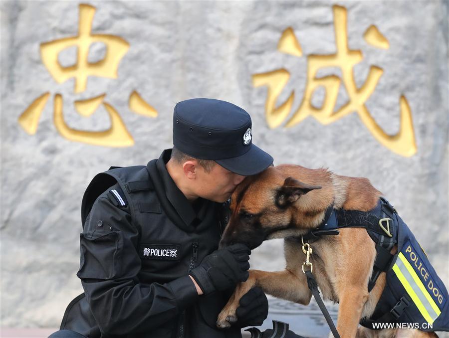 CHINA-BEIJING-POLICE DOG (CN)