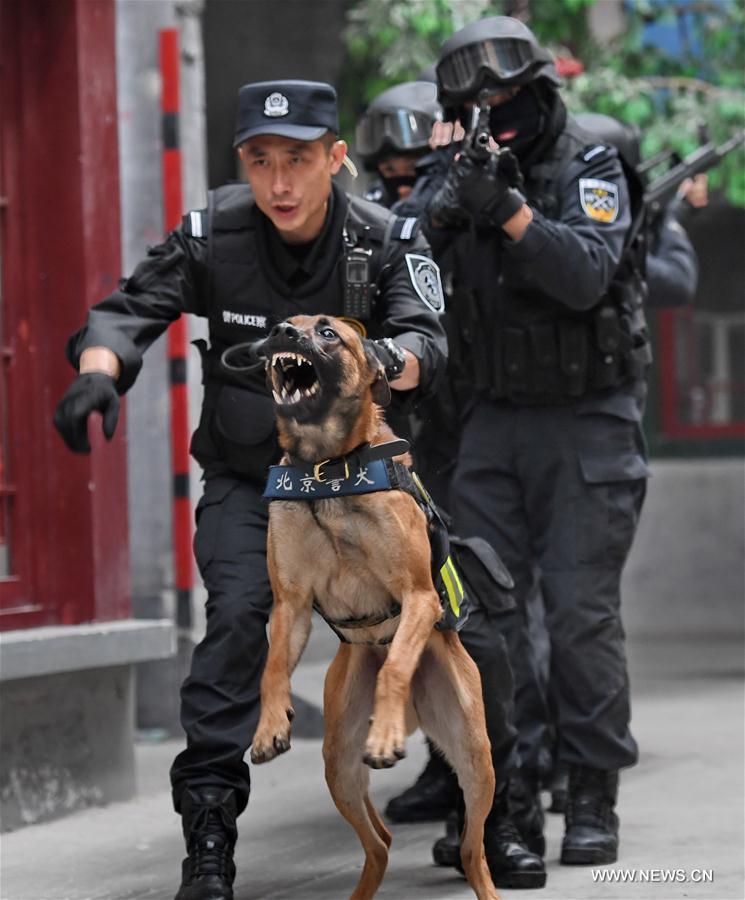 #CHINA-BEIJING-POLICE DOG (CN*)
