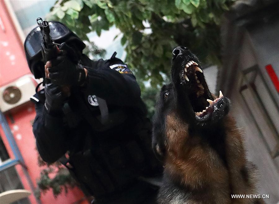 CHINA-BEIJING-POLICE DOG (CN)