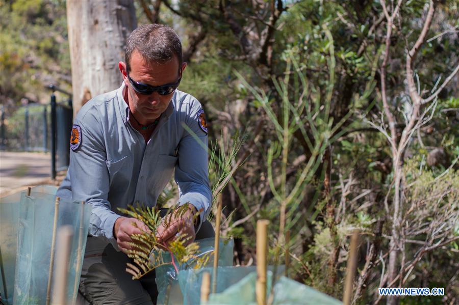 AUSTRALIA-SYDNEY-NATIONAL PARK